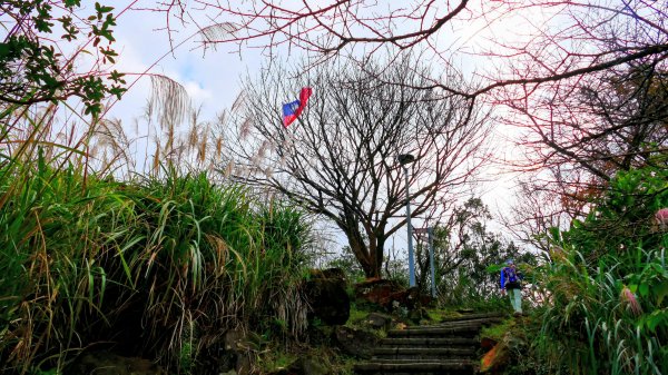 你若來汐止2961408