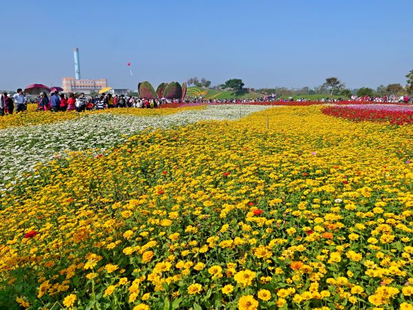 2017台中國際花毯節楓仔林草嶺觀景步道231048