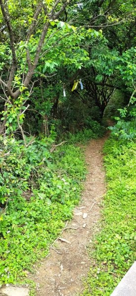 基隆山步道-交通便利、有山有水、逛老街、吃芋圓1335362