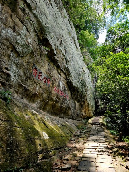 獅山古道 - 2024森遊竹縣皮皮獅Hike客任務2556079