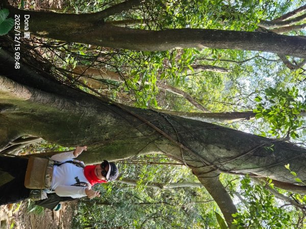 20251215林口森林步道+太平嶺海濱步道2969353