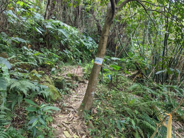 圓山水神社登劍潭山(小百岳#9)1630872