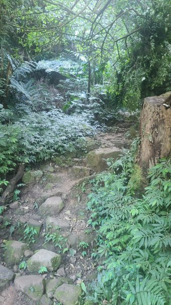 2026-0114溪州山小百岳2984865