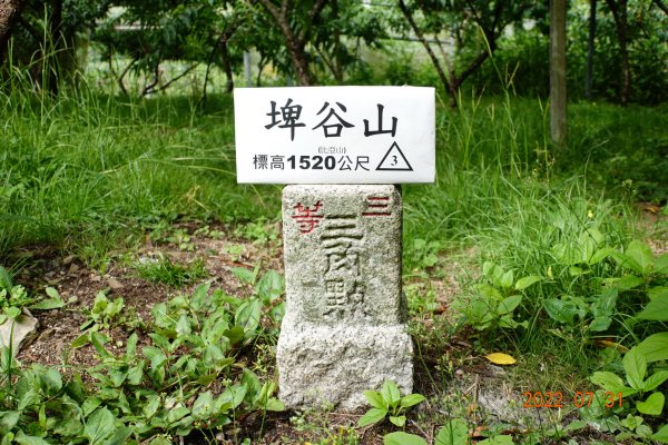 桃園 復興 埤谷山1785492