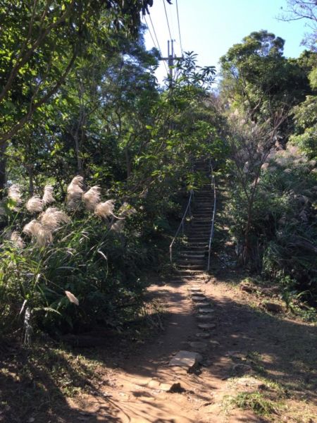 南勢角烘爐地山229208