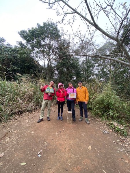 鵝公髻山（小百岳）鵝公髻山東北峰2449845