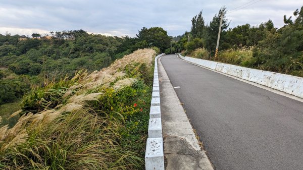 大古山登山步道2365644