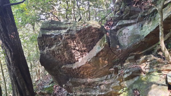 《新竹》斷崖神木｜北得拉曼步道小P繞202510172917482