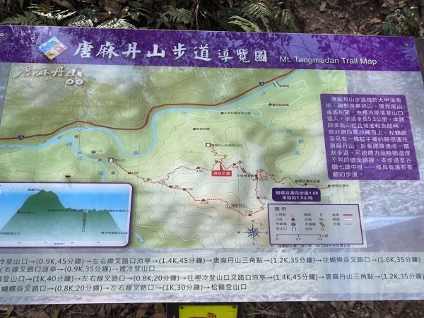 唐麻丹山3059701