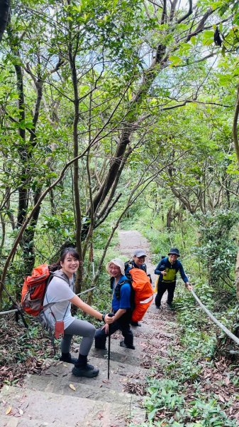 占山+小北插2863659