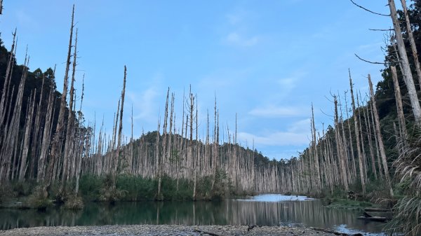 水漾森林+瞑月神木2768815