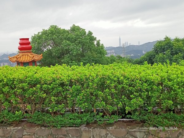 【臺北大縱走 7】樟山寺→樟樹步道→指南宮貓空親山步道→茶展中心步道→大成殿步道→指南宮竹柏參道2255461