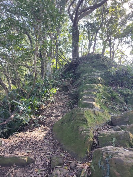 微笑山線：【二格山系】筆架連峰段2963182