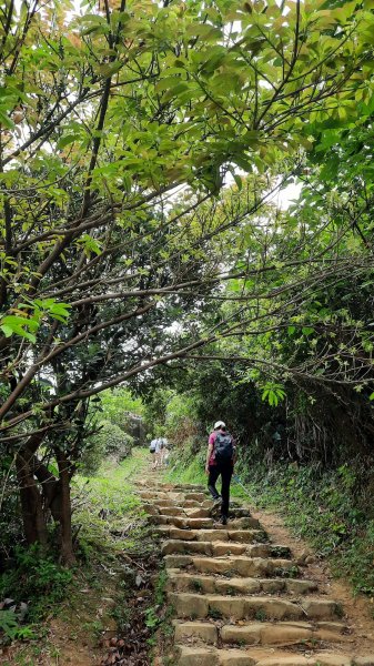 《新北》360山海視野｜南子吝步道X東北角海岸202207021752615