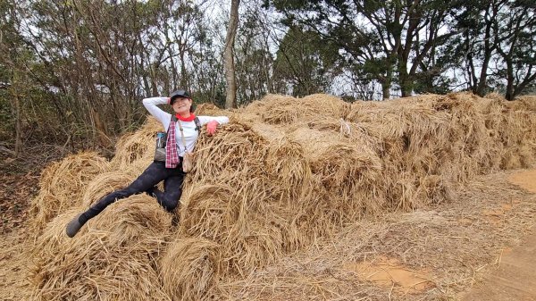 20260127三通嶺山.三義山(大桁茂山).慈濟山.大坪山大O走2990760