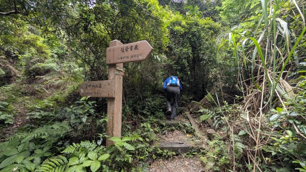 115.04.11啦卡步道-大刀山之旅3034653