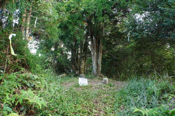 新竹 關西 馬武督山2914173