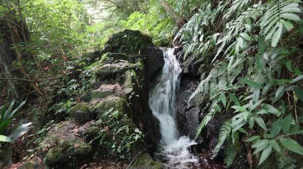 竹子湖派出所>湖田國小步道>猴崁( 水圳)古道> 青楓步道>中正山產業道路>頂湖山> 公車頂湖站