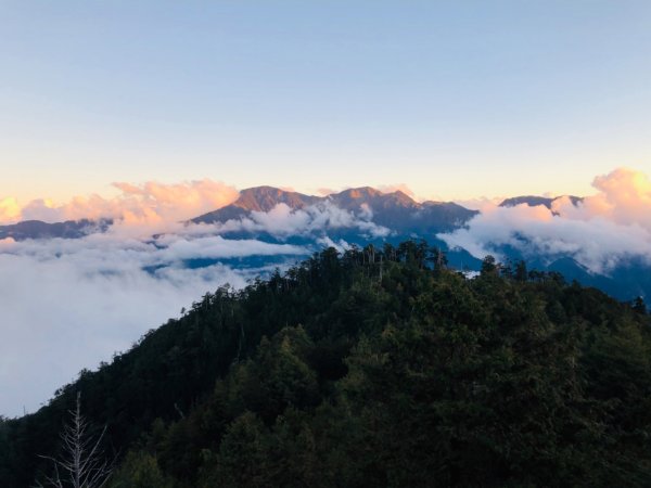 1081207大雪山神木.天池.埡口769836