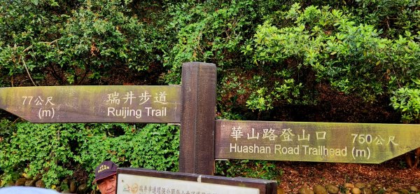 台中大雪山森林遊樂區，雪山神木，天池，埡口觀景台，砲台山（台中公園），湧泉公園，瑞井古井步道2095216