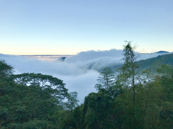 竹林饗宴--瑞太古道登雲戴山順走九芎坪山493537