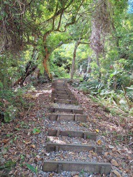 南澳朝陽步道小O202508312876491