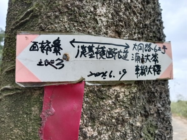 基隆市三層山+湳子大崙+淡基橫斷古道+面桶寮土地公2982268