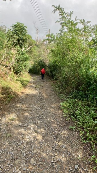 步道巡訪員 l 跑馬古道第11巡1158788