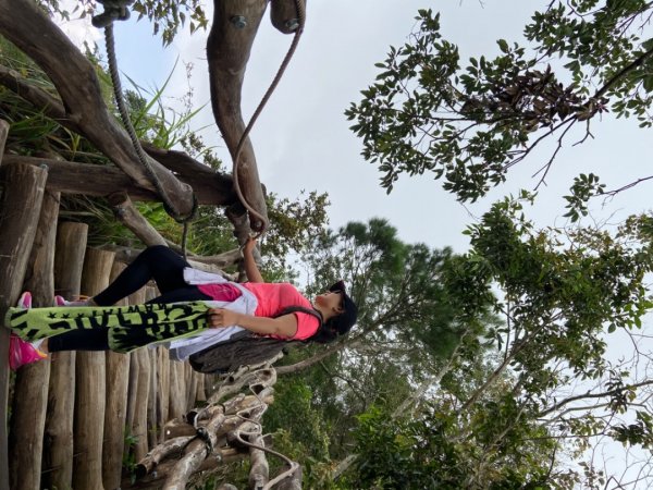 大坑9號步道頭嵙山封面