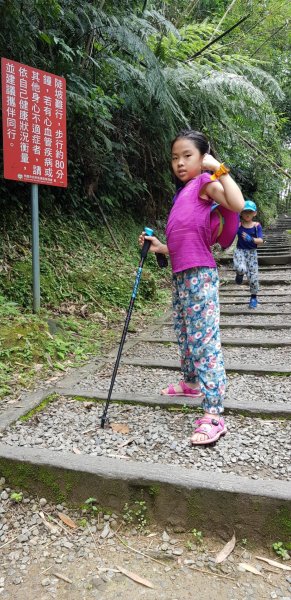 小烏來森林步道-水圳古道-義興吊橋600196