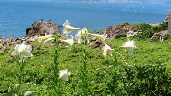 110.0512 基隆嶼登島登塔繞島三合一1385429