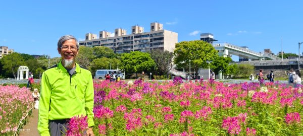 首訪 #古亭河濱公園 #花海 3/153015684