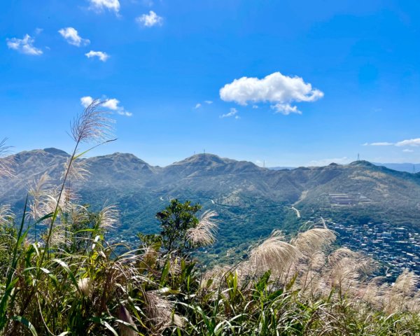 基隆山賞芒趣-山尖步道-百年三層橋-摸乳巷2335487