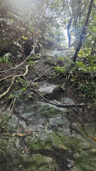 20260409四柑縱走3034422