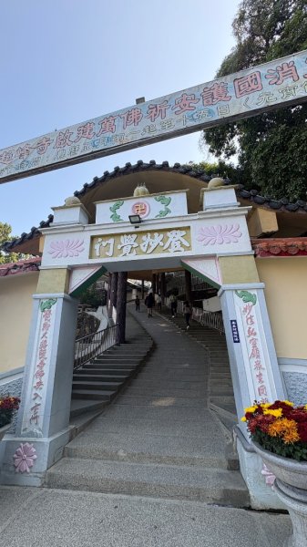 尋仙、鑽洞、啖肥雞3002778