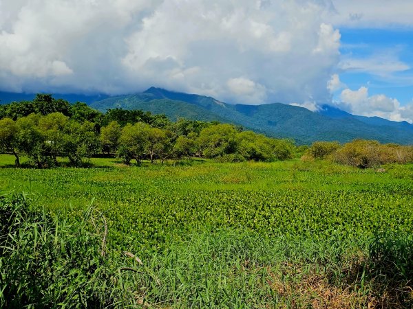 大坡池環潭步道-2025漫遊縱谷愛在花東-台東縣池上鄉2916629