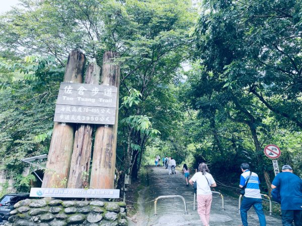 20260822 花蓮佐倉步道3111005