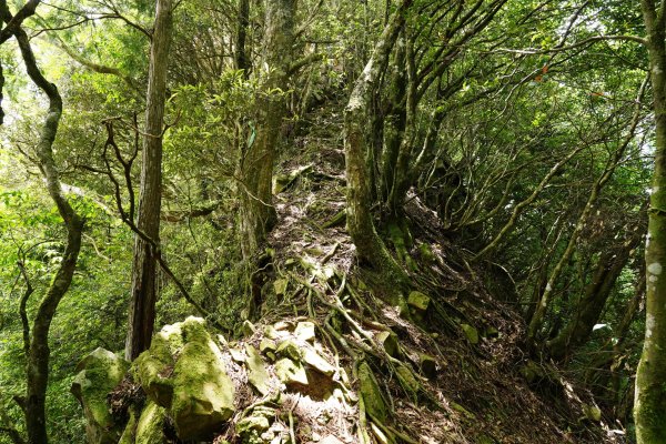 新竹 五峰 油羅山、霞山2798294