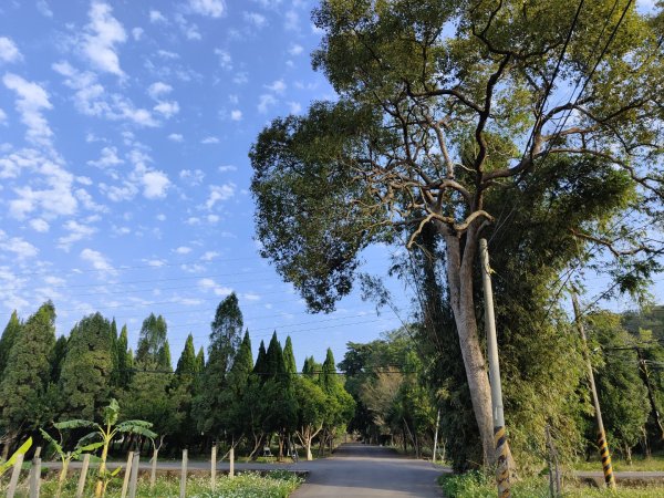 2024.01.07 橫山三叉埤、墩子銃古道2843809