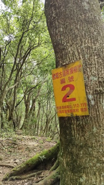 2025/6/14 橫龍山2839234