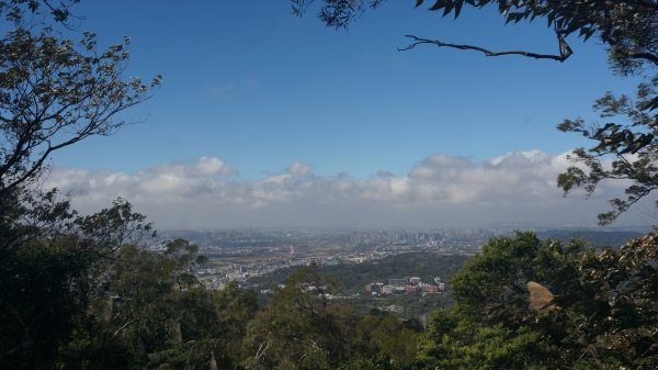 飛鳳山+石壁潭生態步道1283667