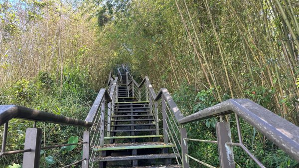 隙頂二延平步道2798974