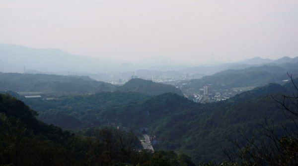 紅淡山步道2021181