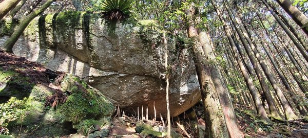 2025/04/04_加里山登山步道2755029