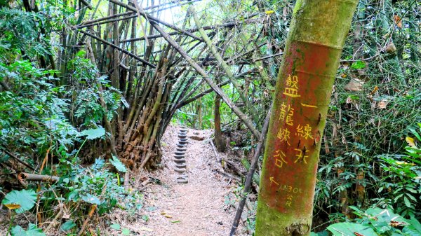 大崗山,盤龍峽谷2954518