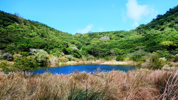 向天蝦不蝦2936810