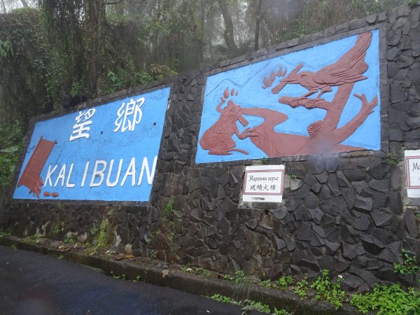 2022年02月20日(鳳凰山協)南投信義-望鄉部落-獵人古道之望美山及瓊山1616637