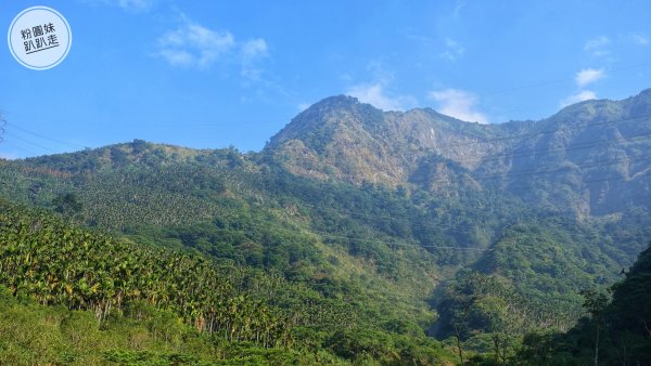 阿里山山脈越嶺步道大串走D1543653