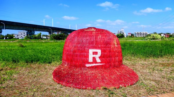 富岡仙草花2942399