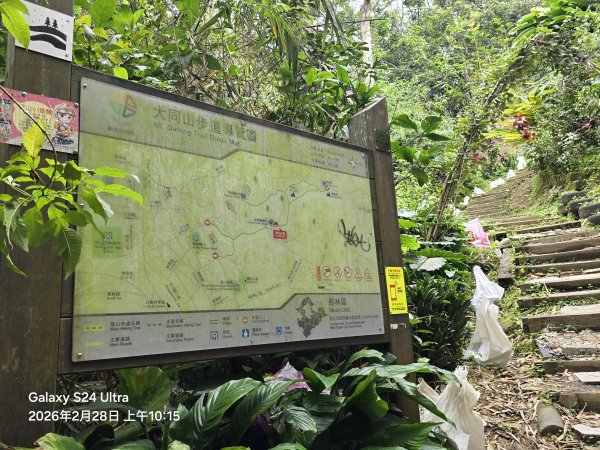 2026-02-28微笑山線：【大棟山系】405高地段3008682